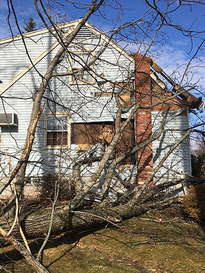 storm damage tree removal ct